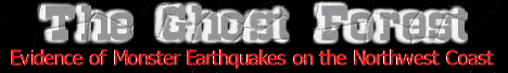 mquake.GIF (10879 bytes)